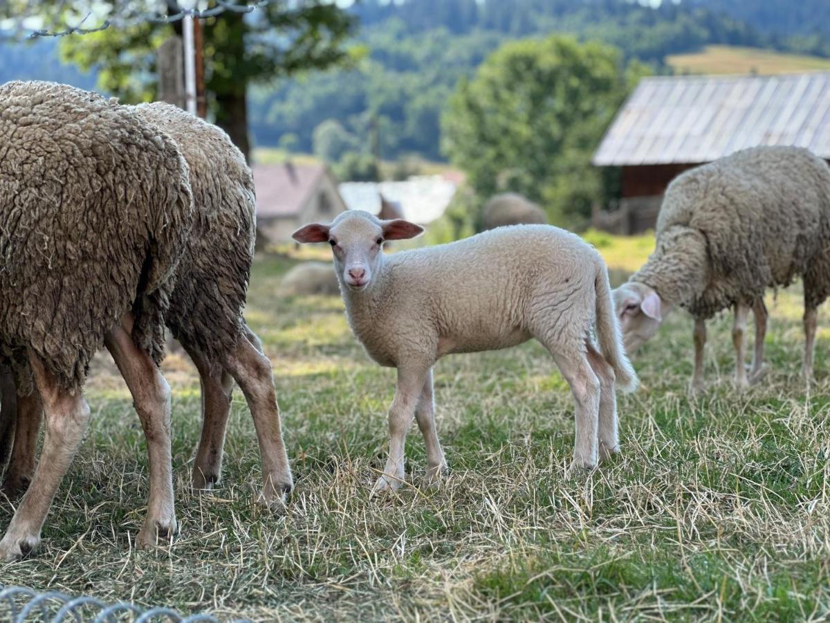 Penzión Hrubjak Oravská Polhora Exterior foto